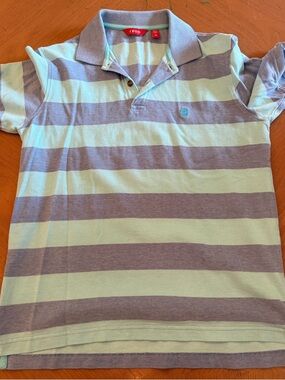 IZOD Men’s Short Sleeve Polo - Mint & Blue Stripes